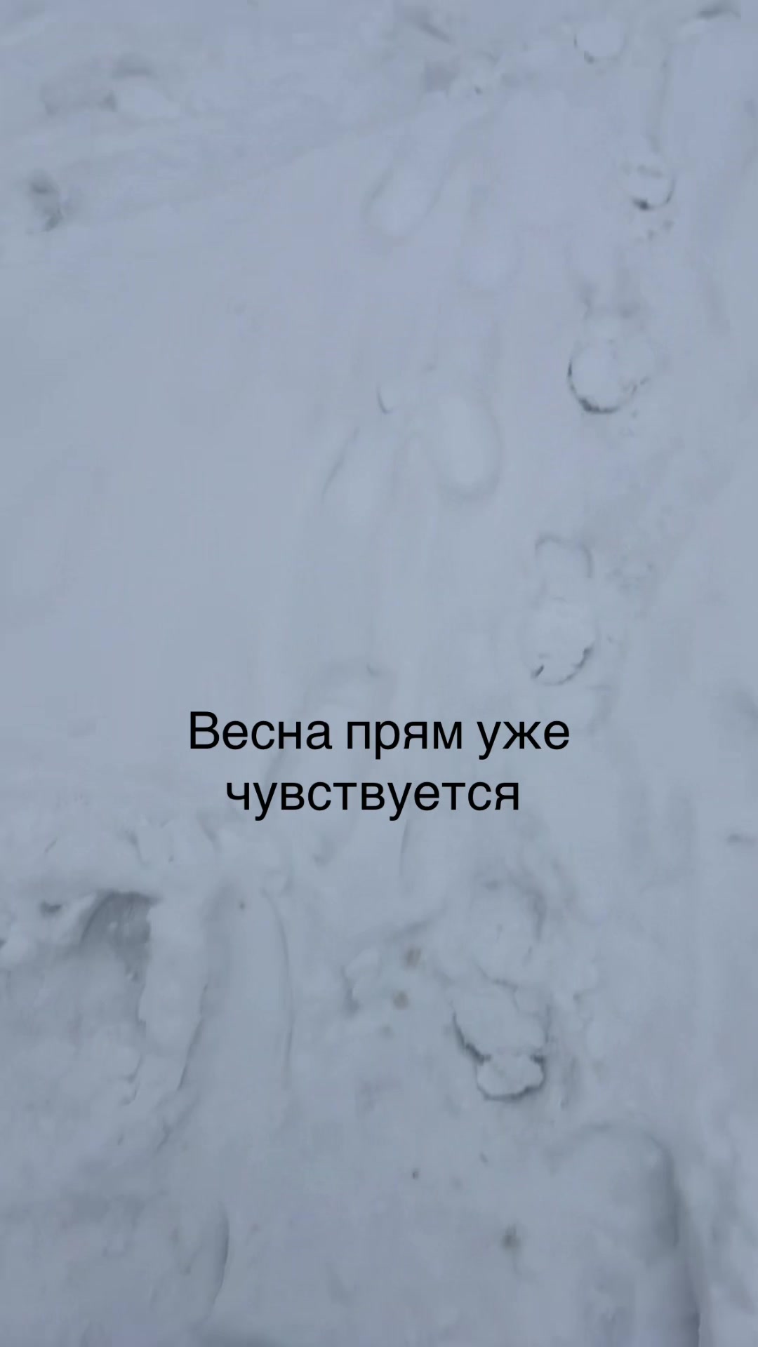 @ℕ𝕒𝕤𝕥𝕒𝕤𝕚𝕒&hearts;