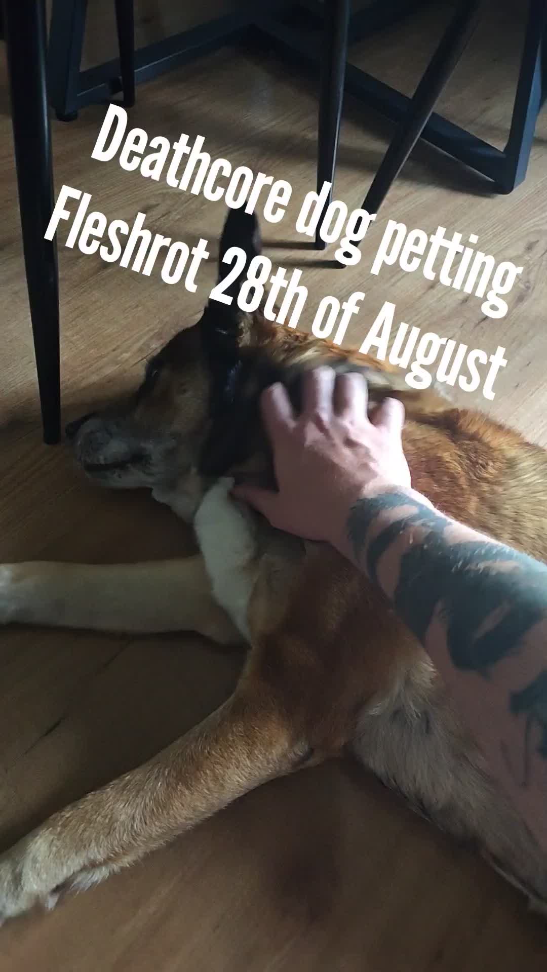 @JKGrowling