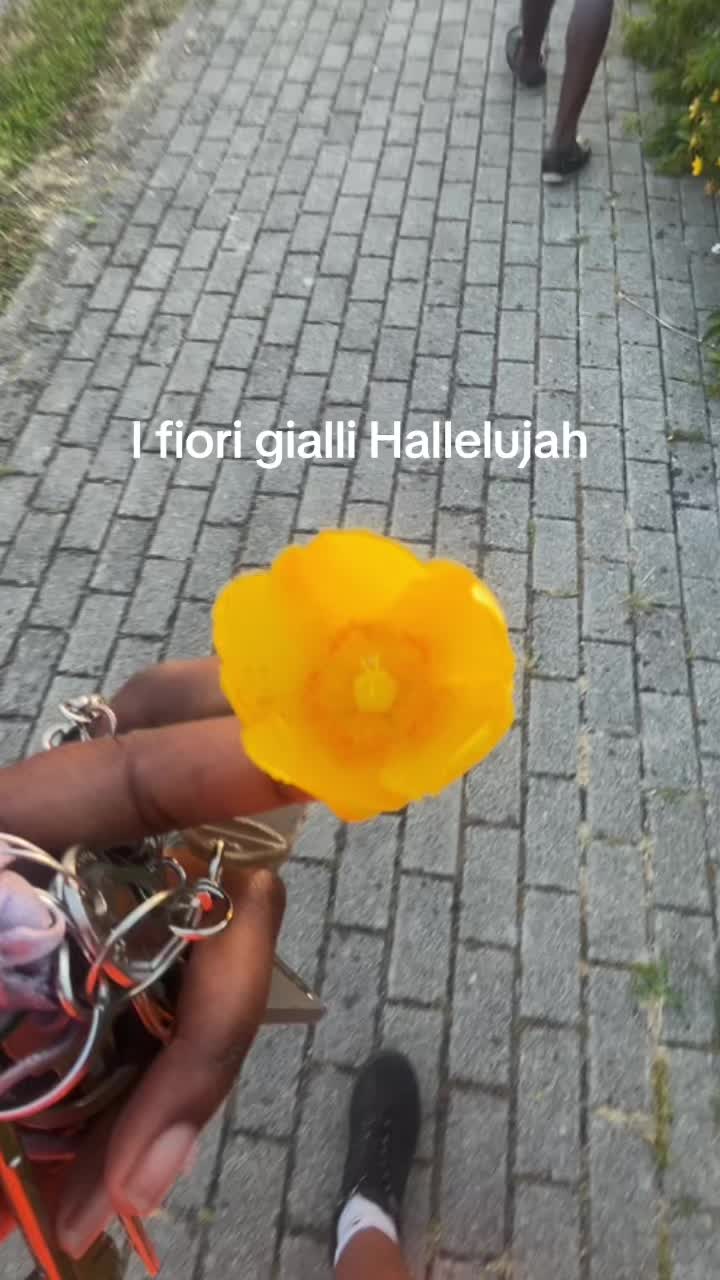 @Hilly🦋
