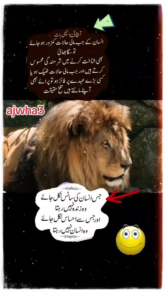 @shakir