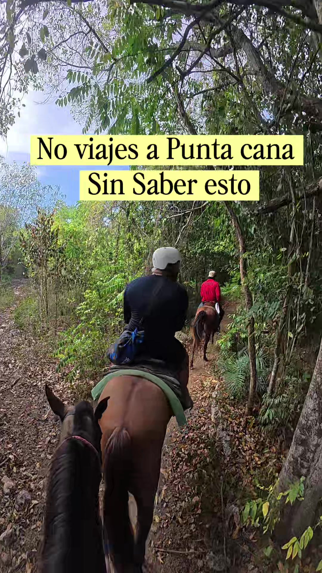 @Ruth|Asesora de Viajes🇩🇴