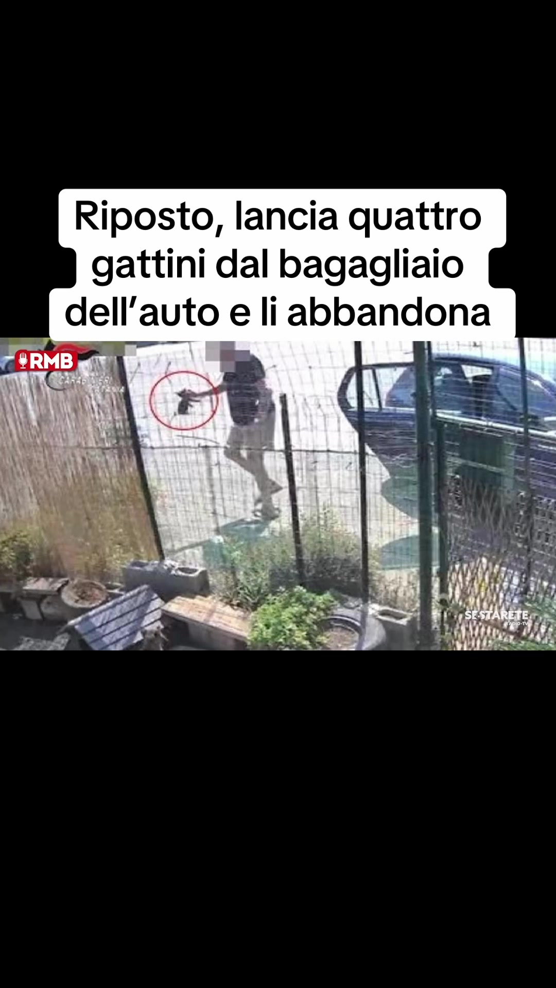 @Edoardo Picone | Giornalista