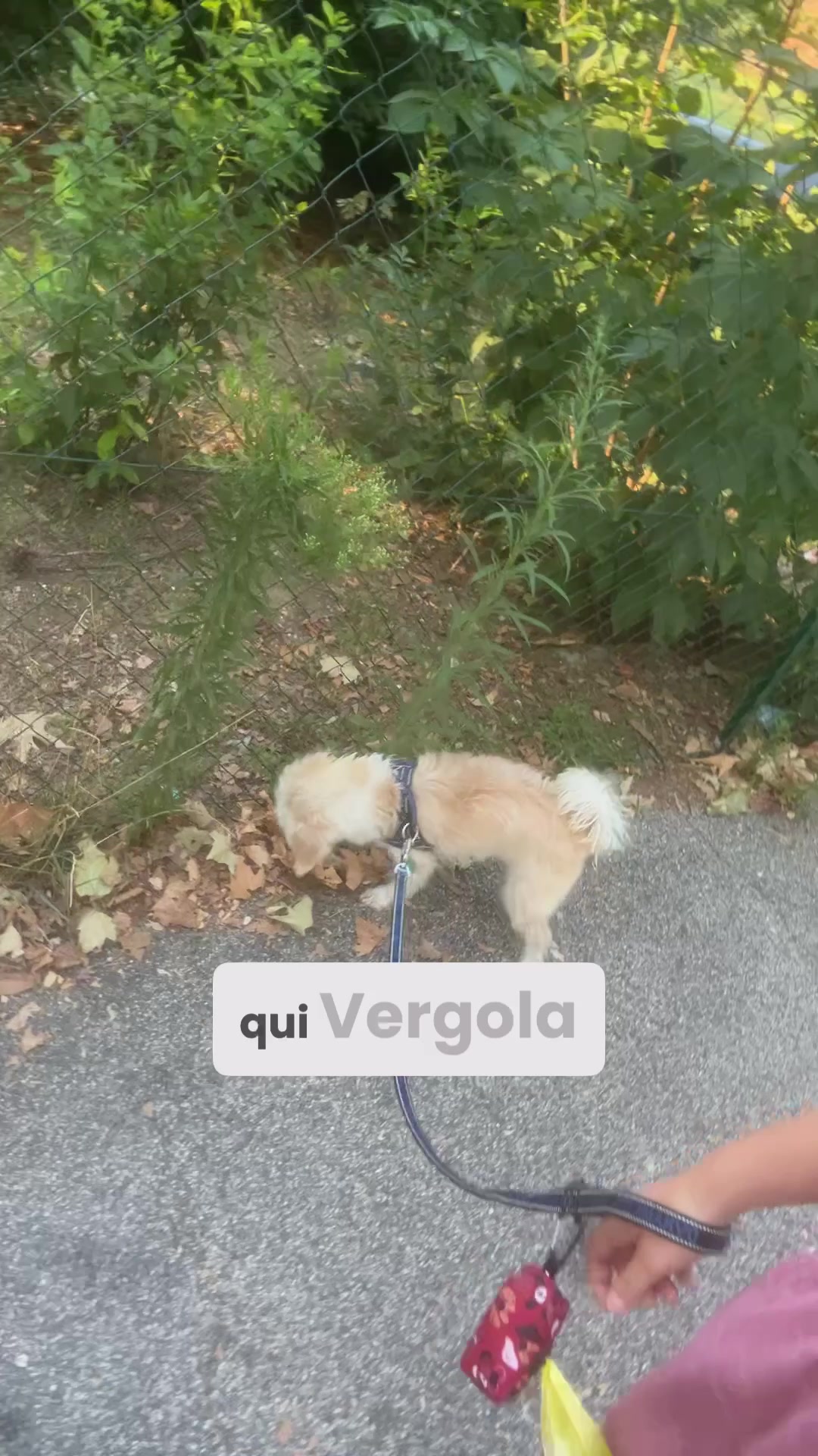 @Marta Basso