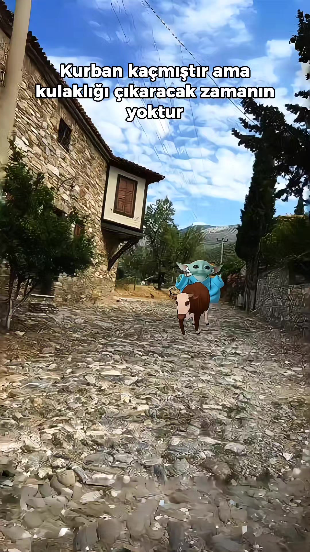 @Bebiş Yoda