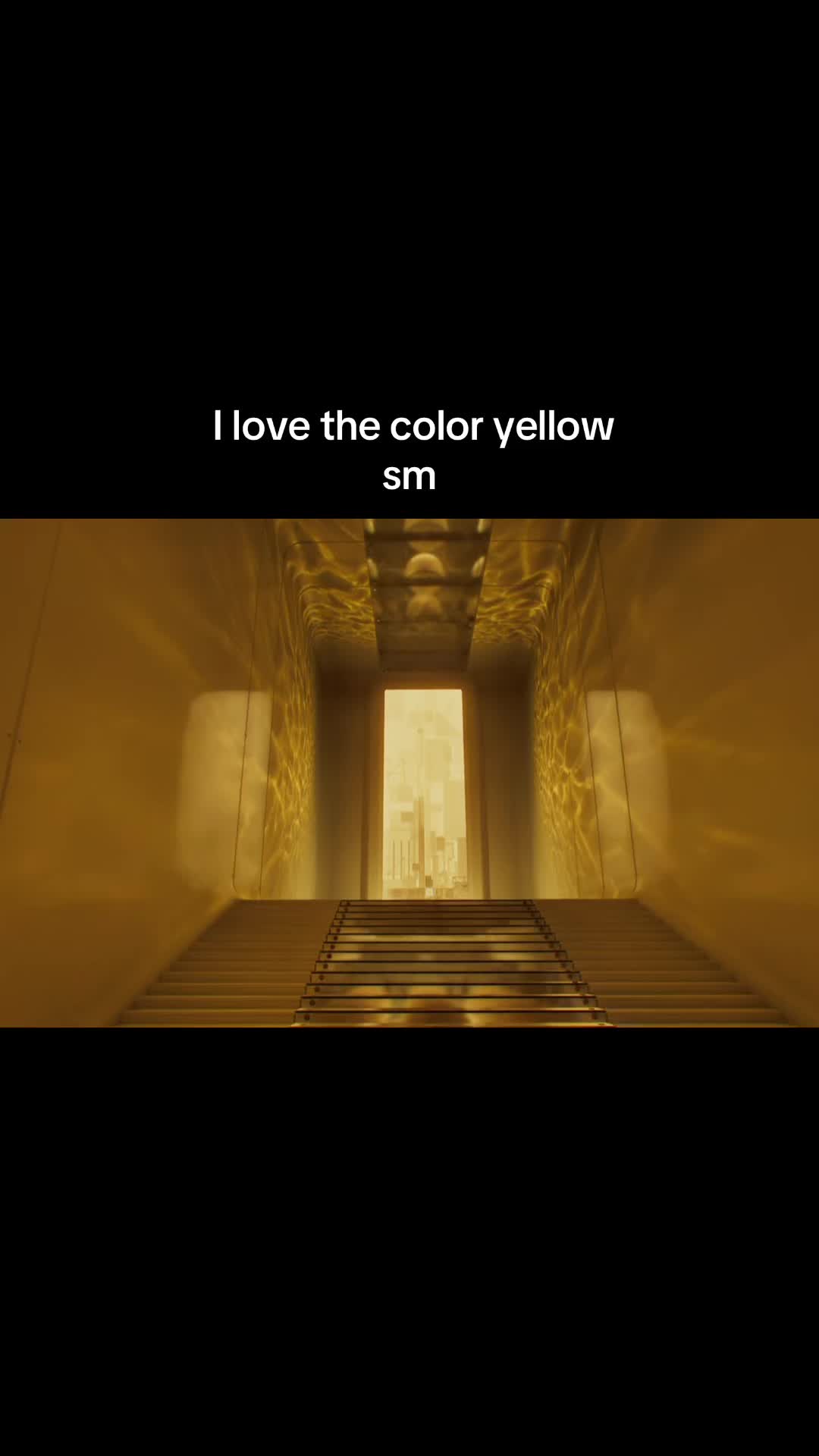 @Spider 🕷️