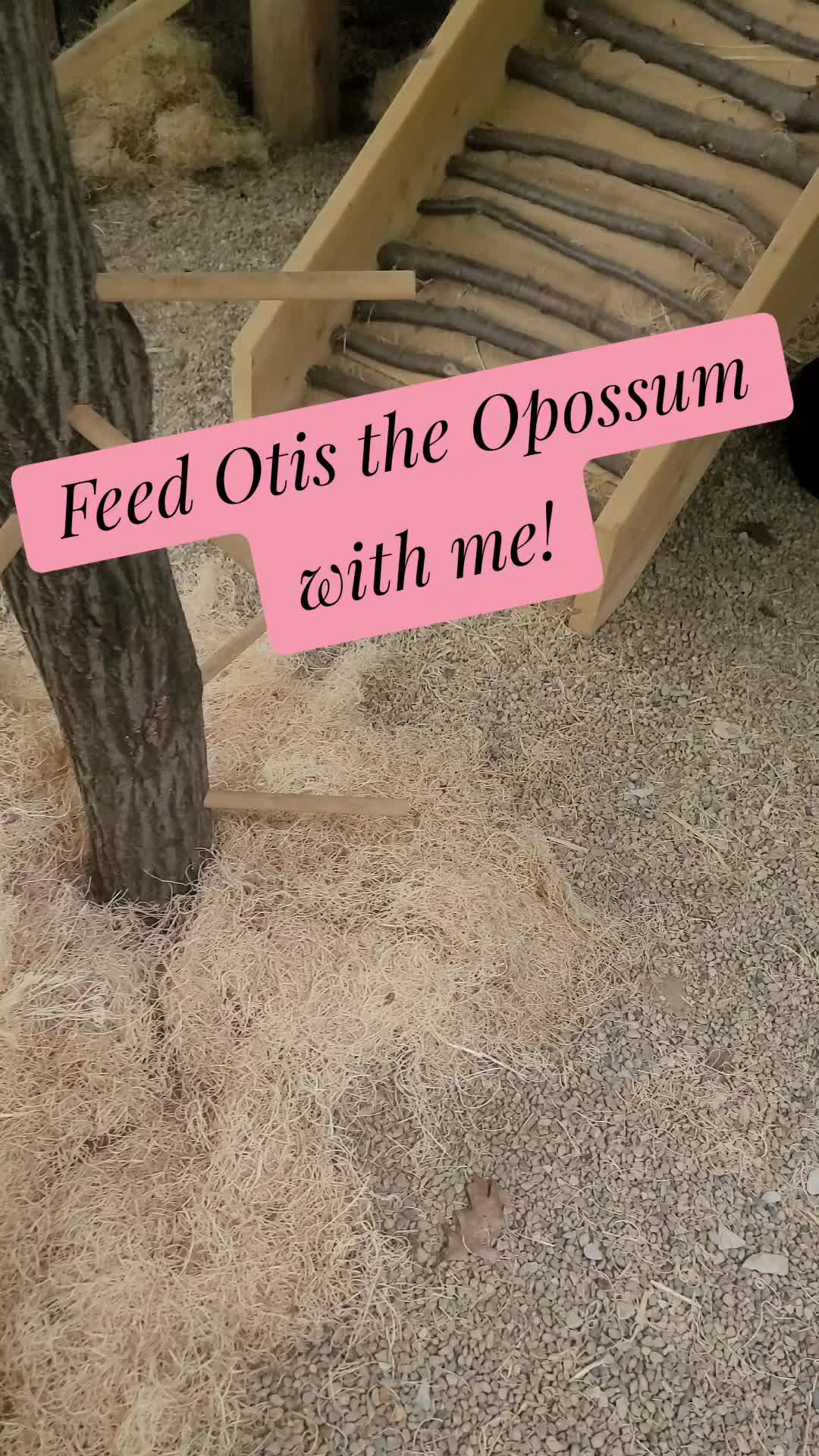 @Zookeeper Melanie