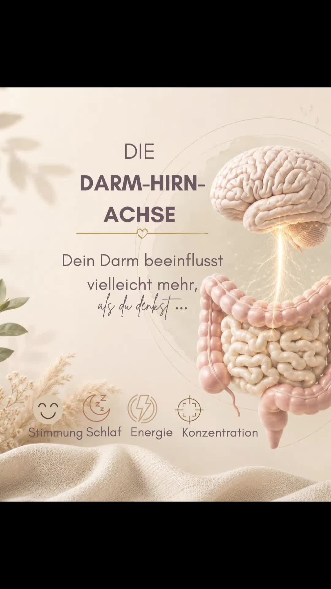@healthylife_borjana