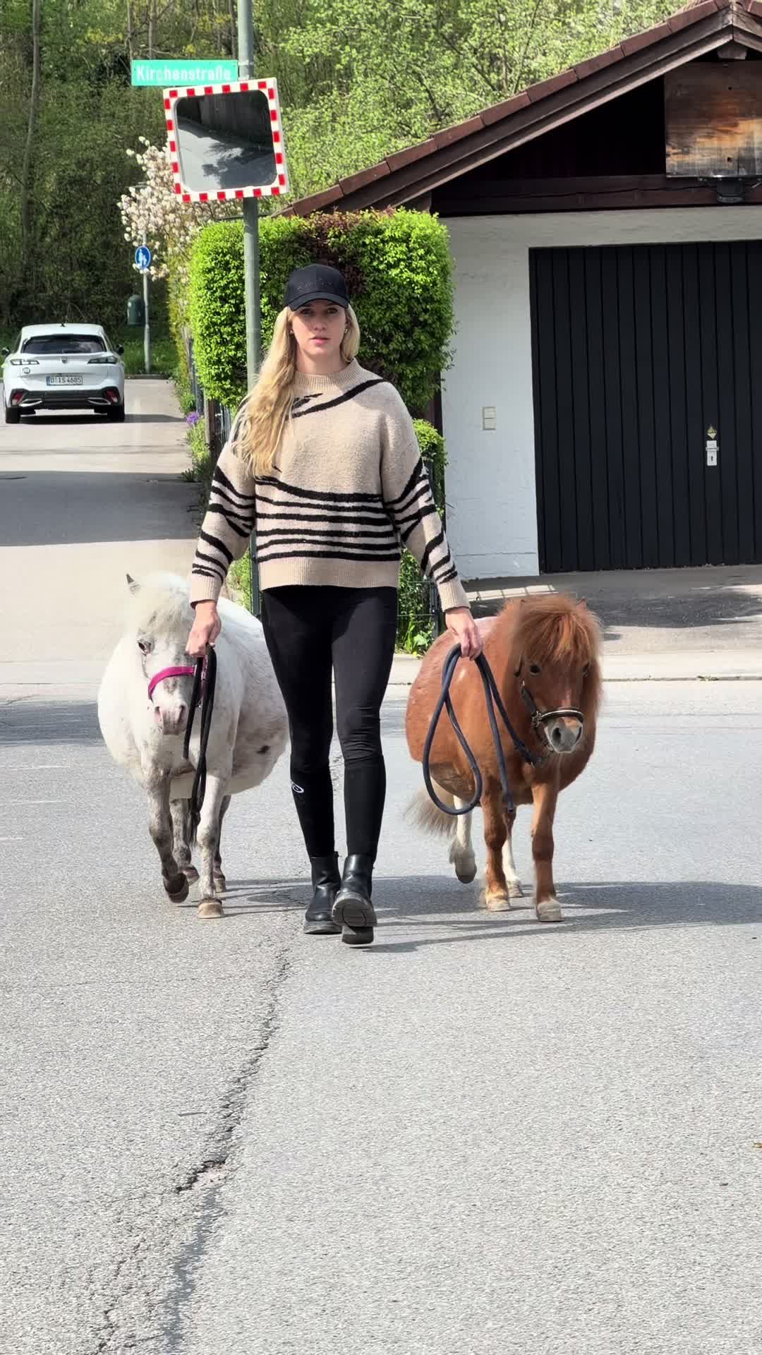 @julia_libertyhorses