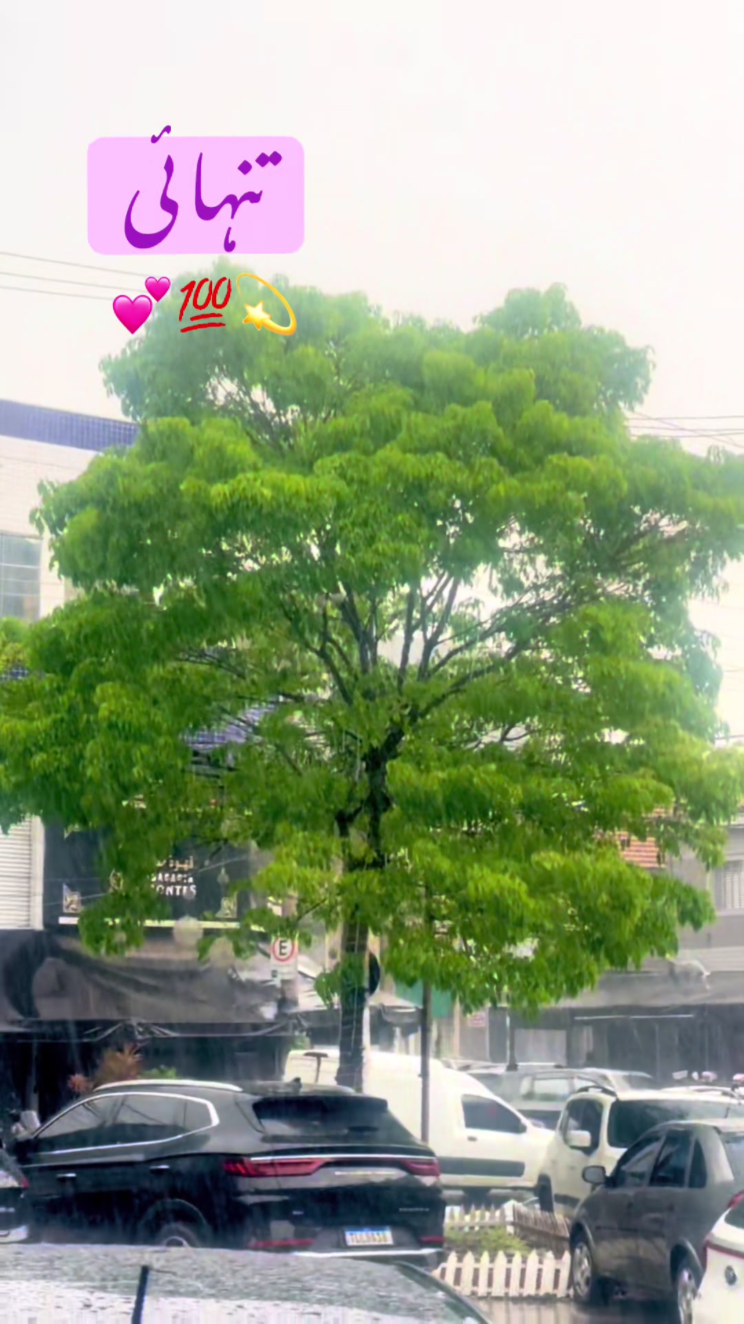 @28 Pervaiz