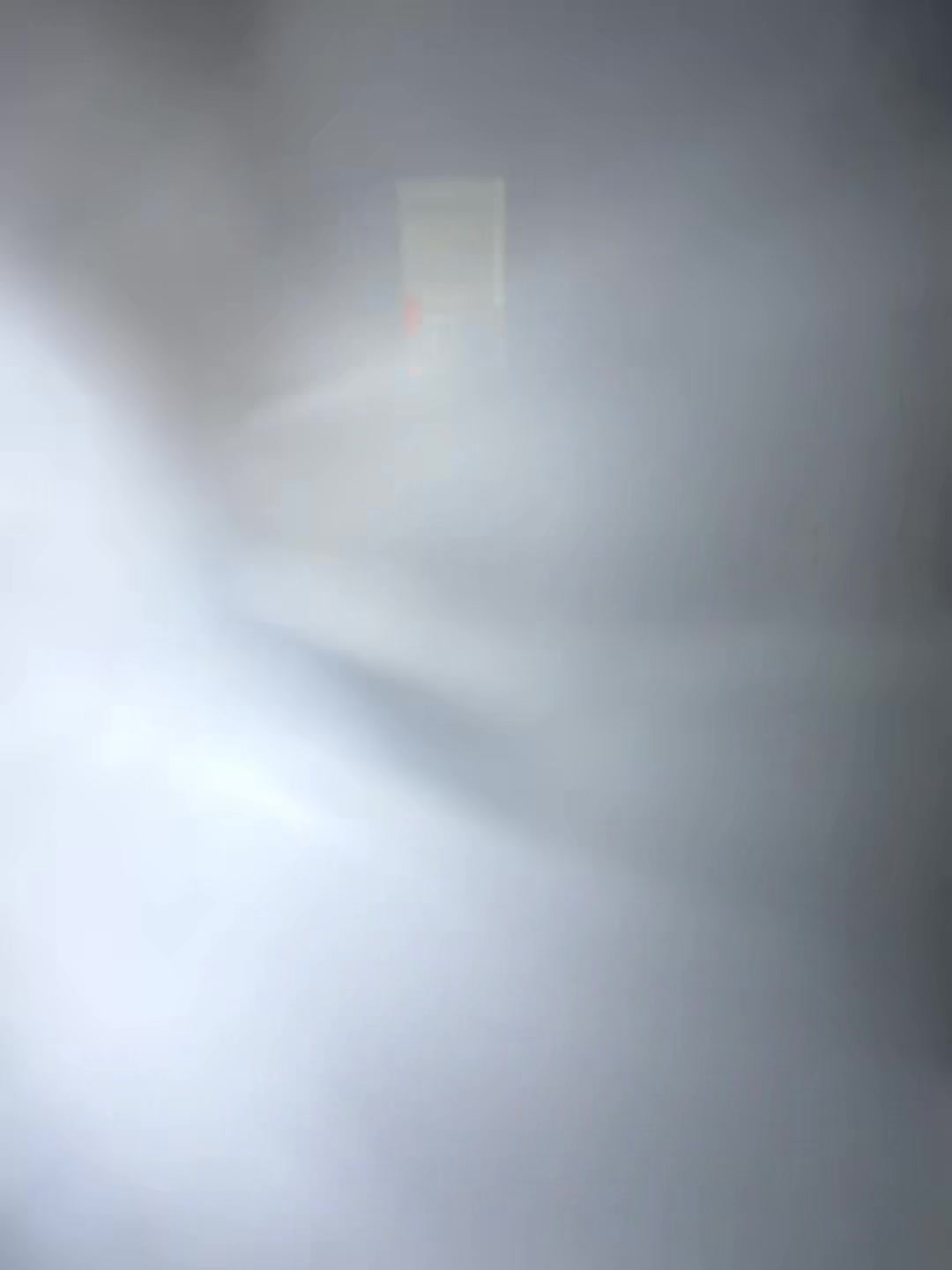 @𝓣𝓱𝓮 𝓙𝓮𝓵𝓵𝔂 𝓕𝓲𝓼𝓱🪼