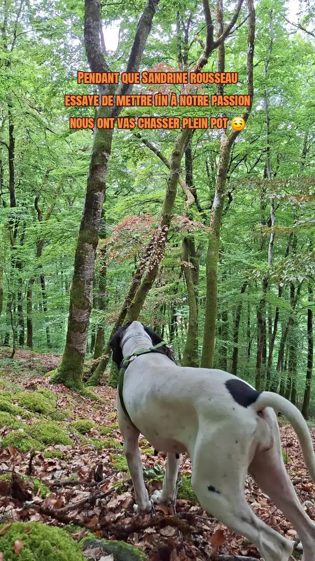 @Passion_du_gascon_15