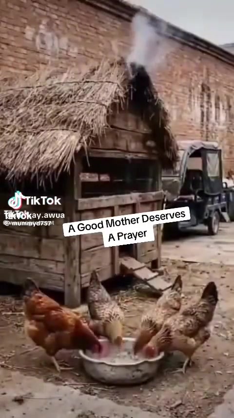 @jimoholayinka21