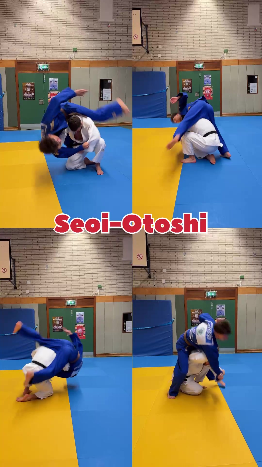 @Cyber-Judoka