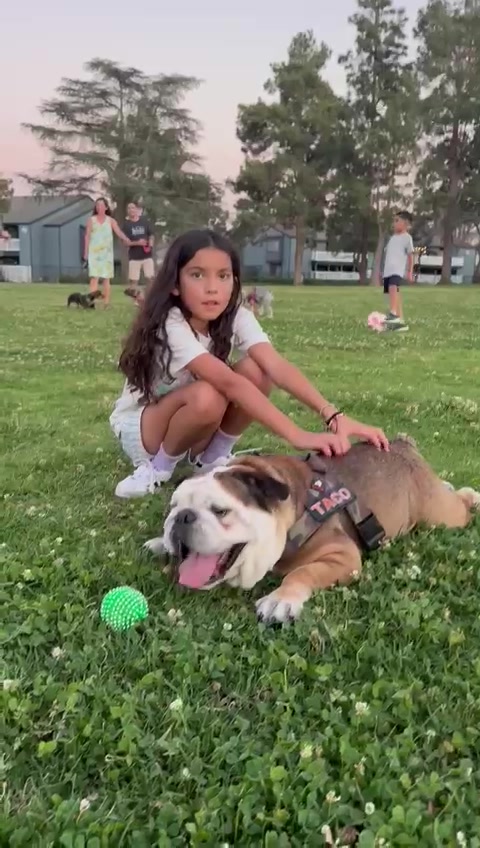 @Taco 🐶🧿