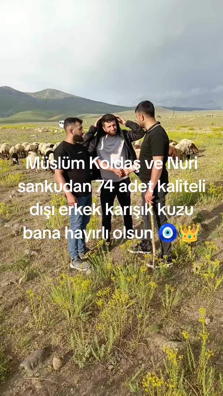 @NEVROZ KARATAY