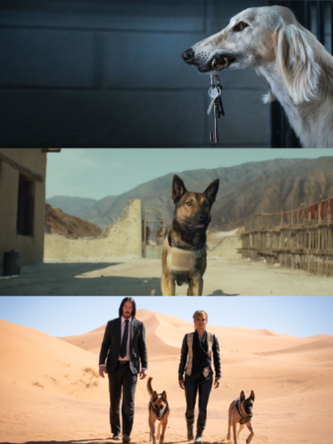 @Netflix Japan