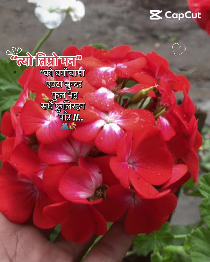 @पुनम राना मगर