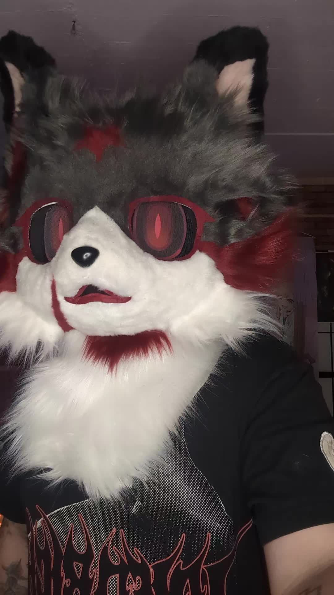 @Raphaelthefurry