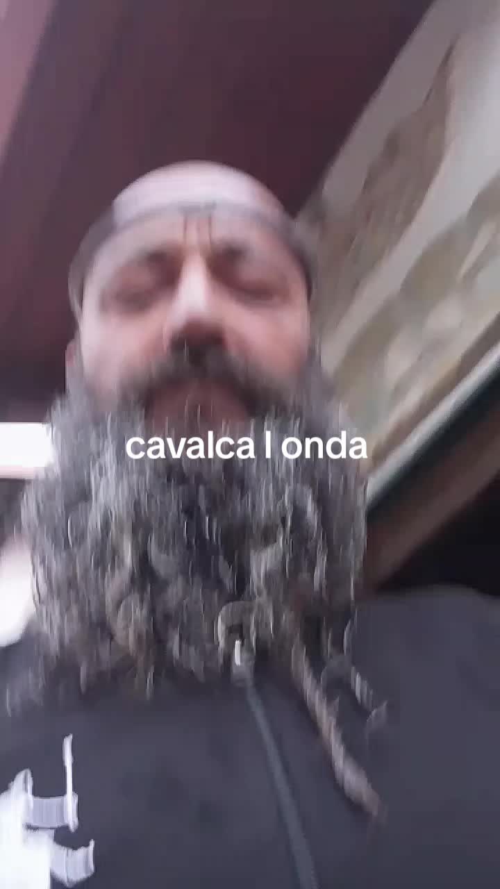 @Domus Arcuri