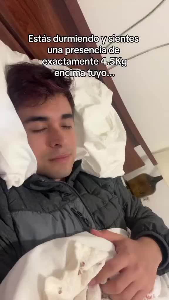 @RaptorGamer_