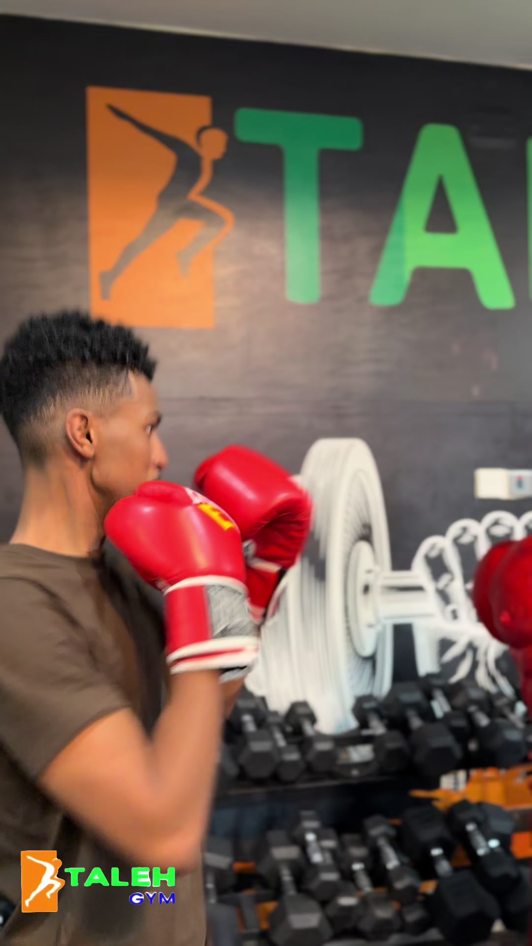 @TALEEX GYM FITNESS