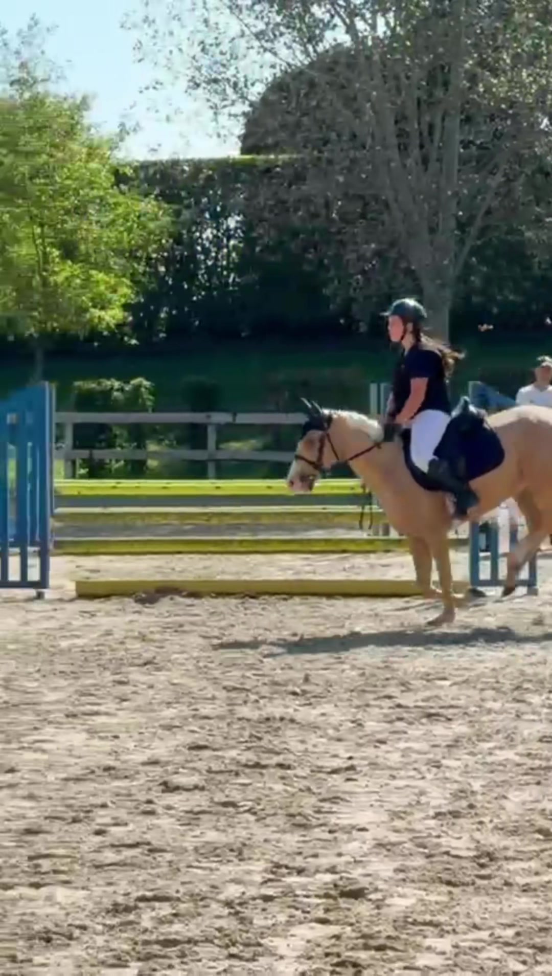 @м&iota;&alpha; 🐴💛