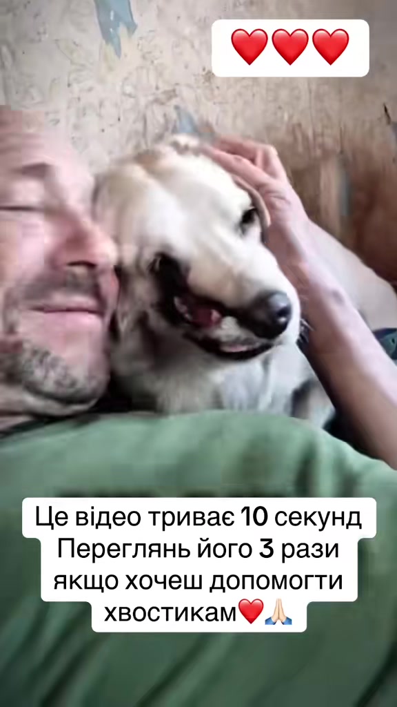 @kvitochki222