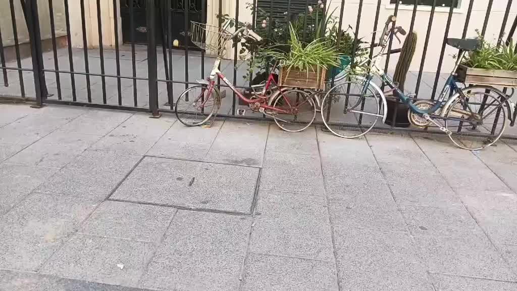 @tirsocarranzamart
