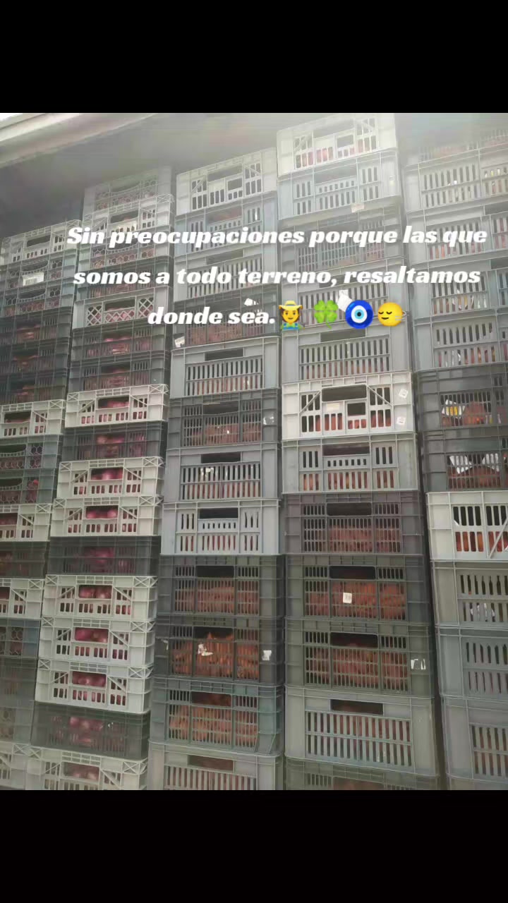 @Estefania.17