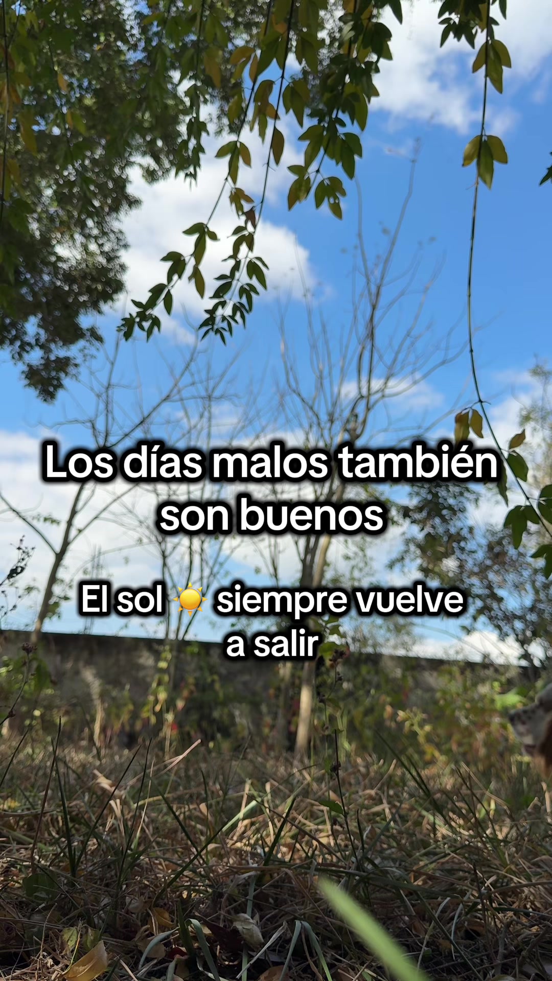 @Marilis