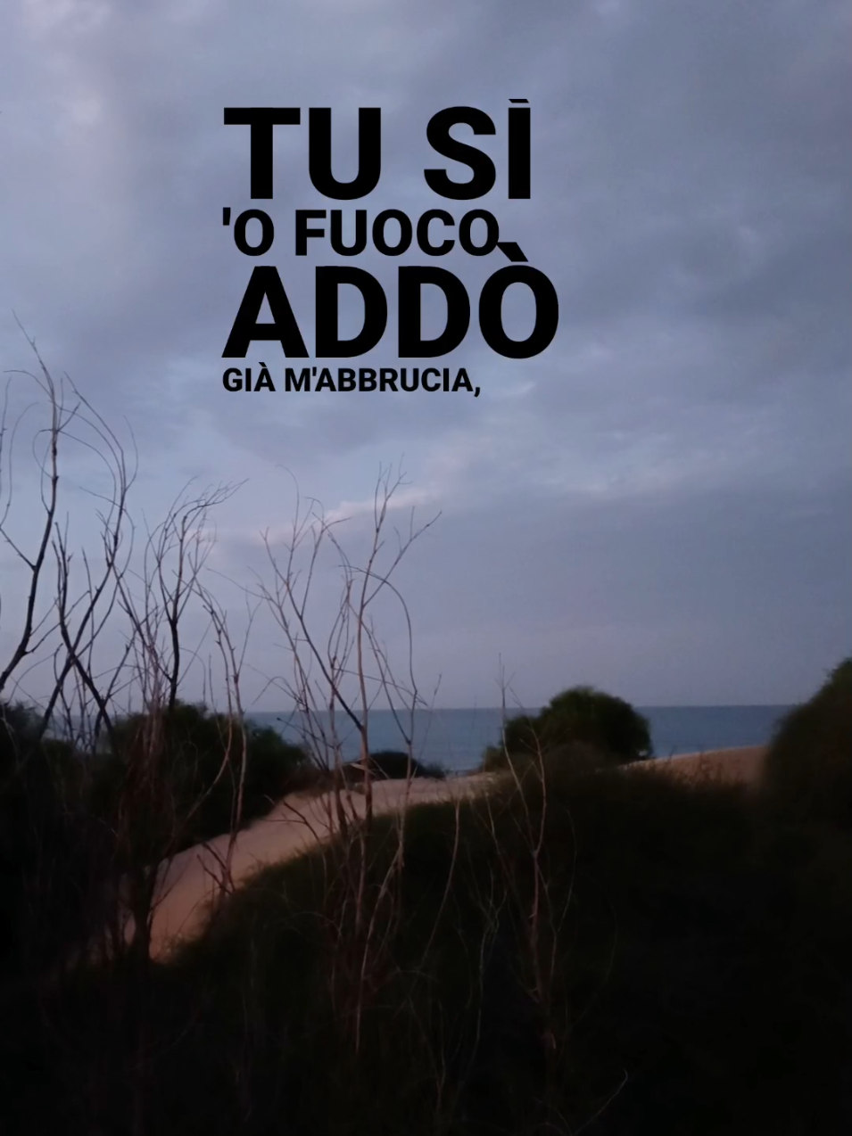 @Salvatore Di Mauro