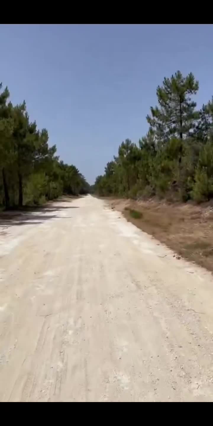 @Petrosbertone