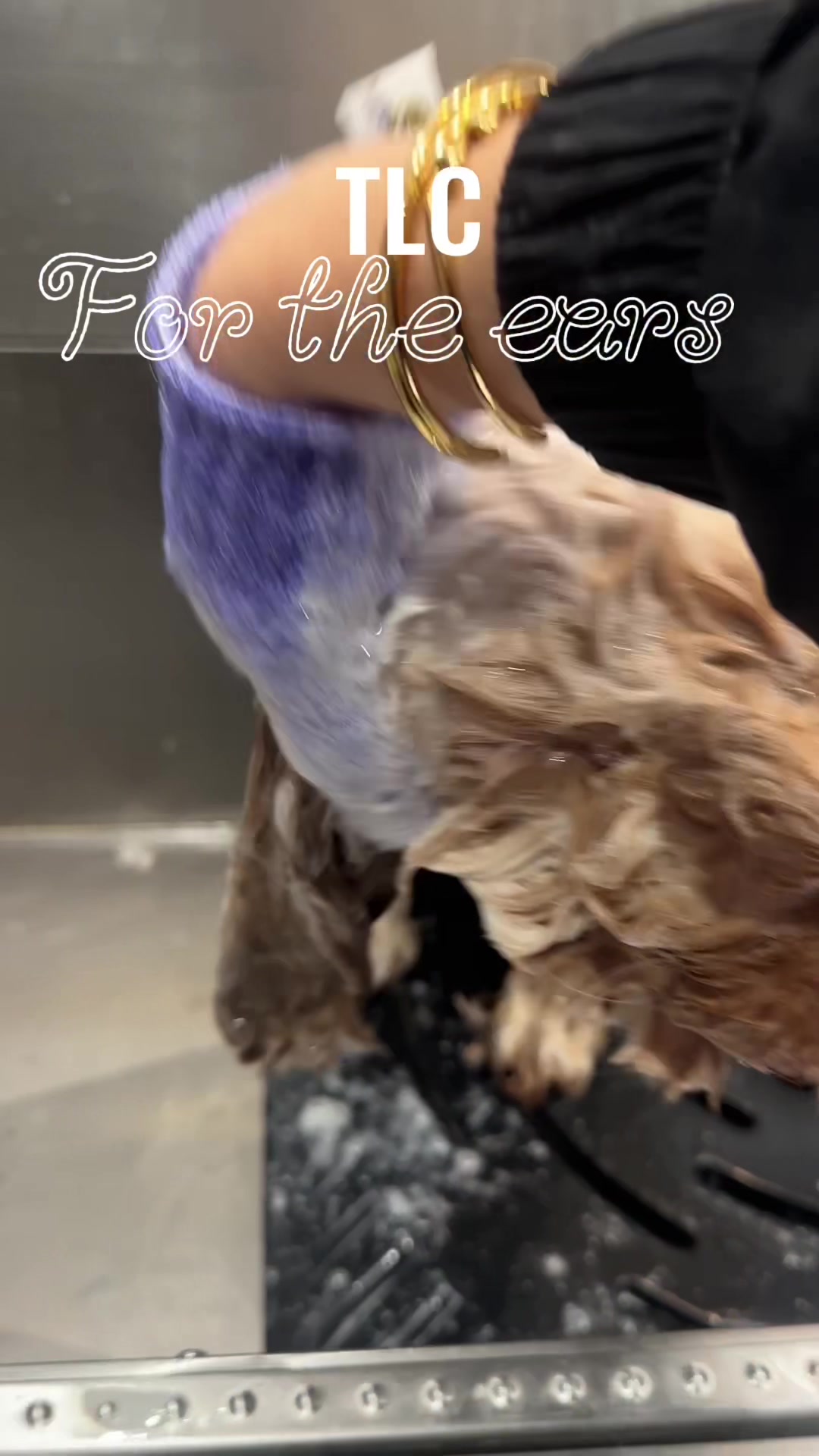 @DevenickDogs