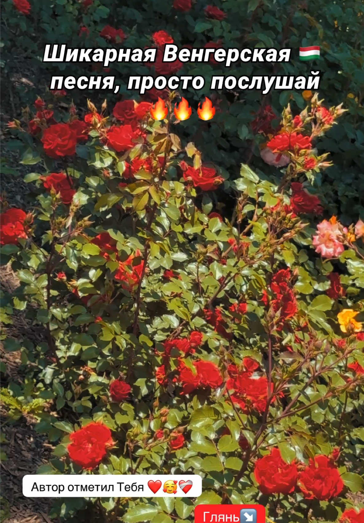@❤️&zwj;🔥Просто Человек🎧