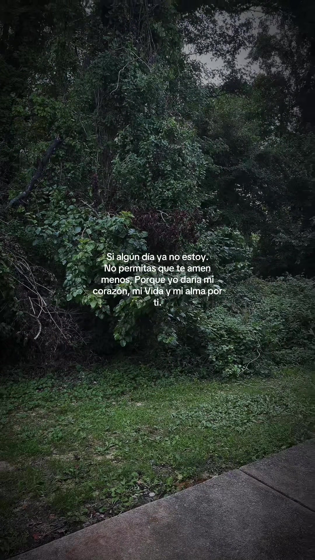 @🥀Mentalidad_Refleccion 🪫