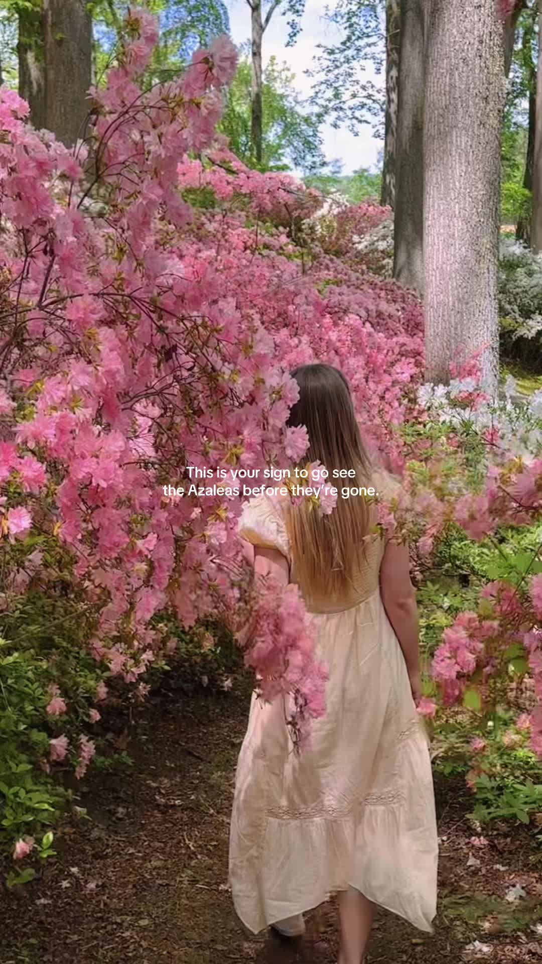 @hey_itsmaddyindc