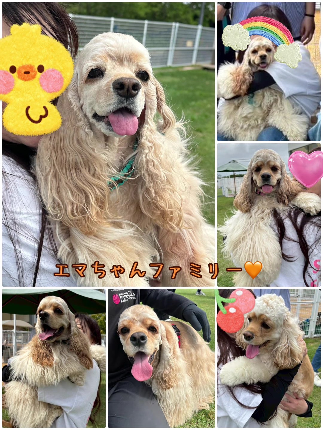 @Snow Girl 1201 🧡