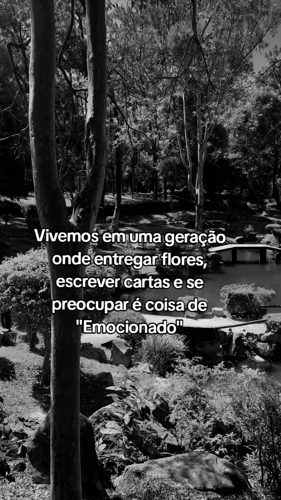 @frases aleatórias