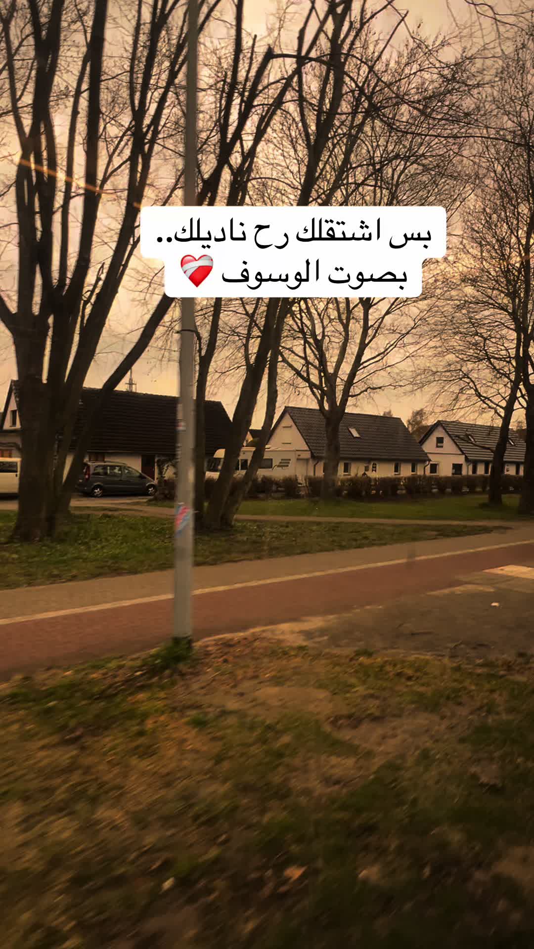 @tuteh🌷