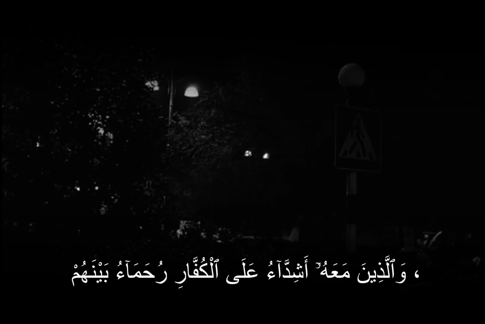 @ابابيل"| ababil"