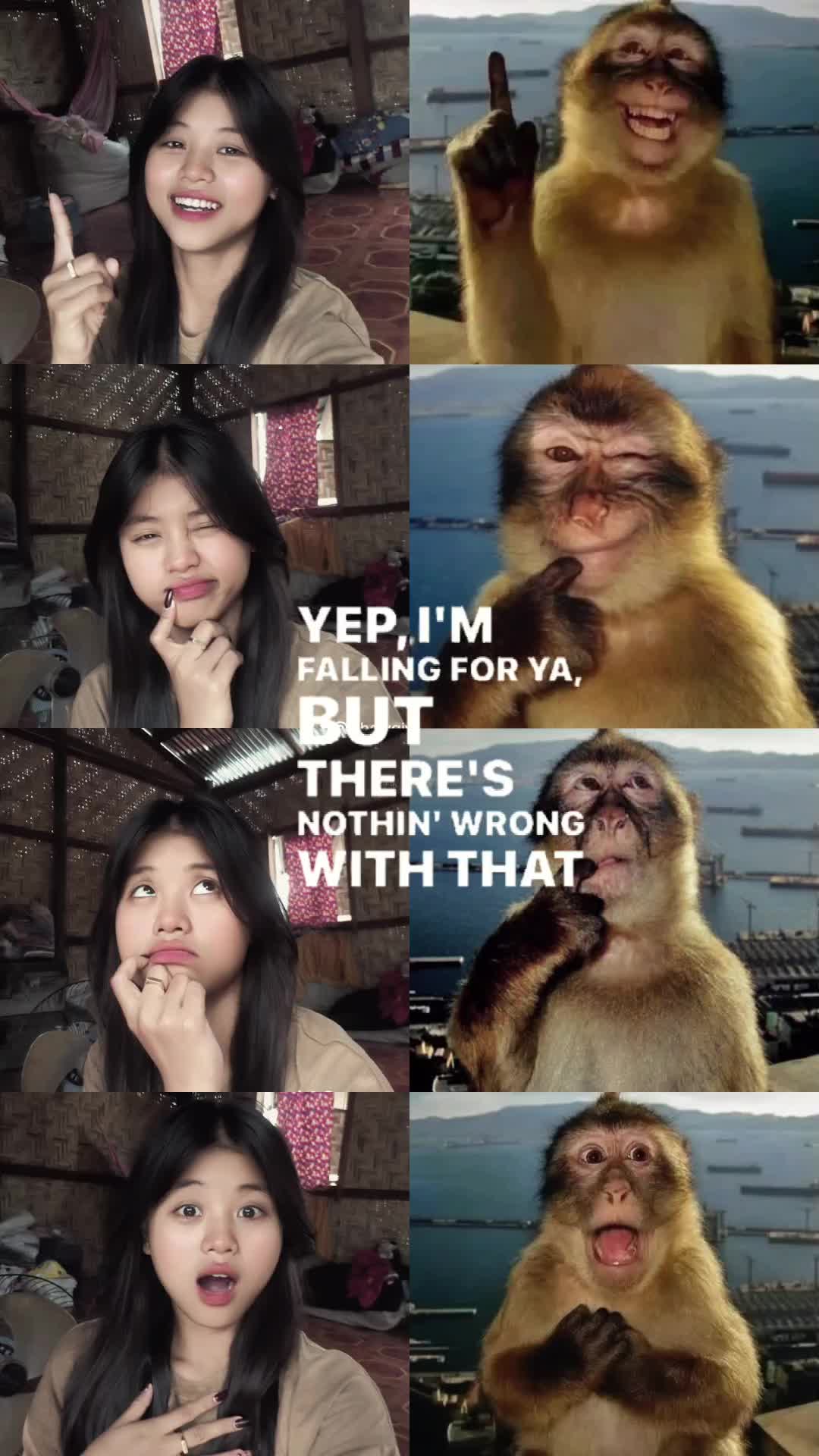 @T🥑