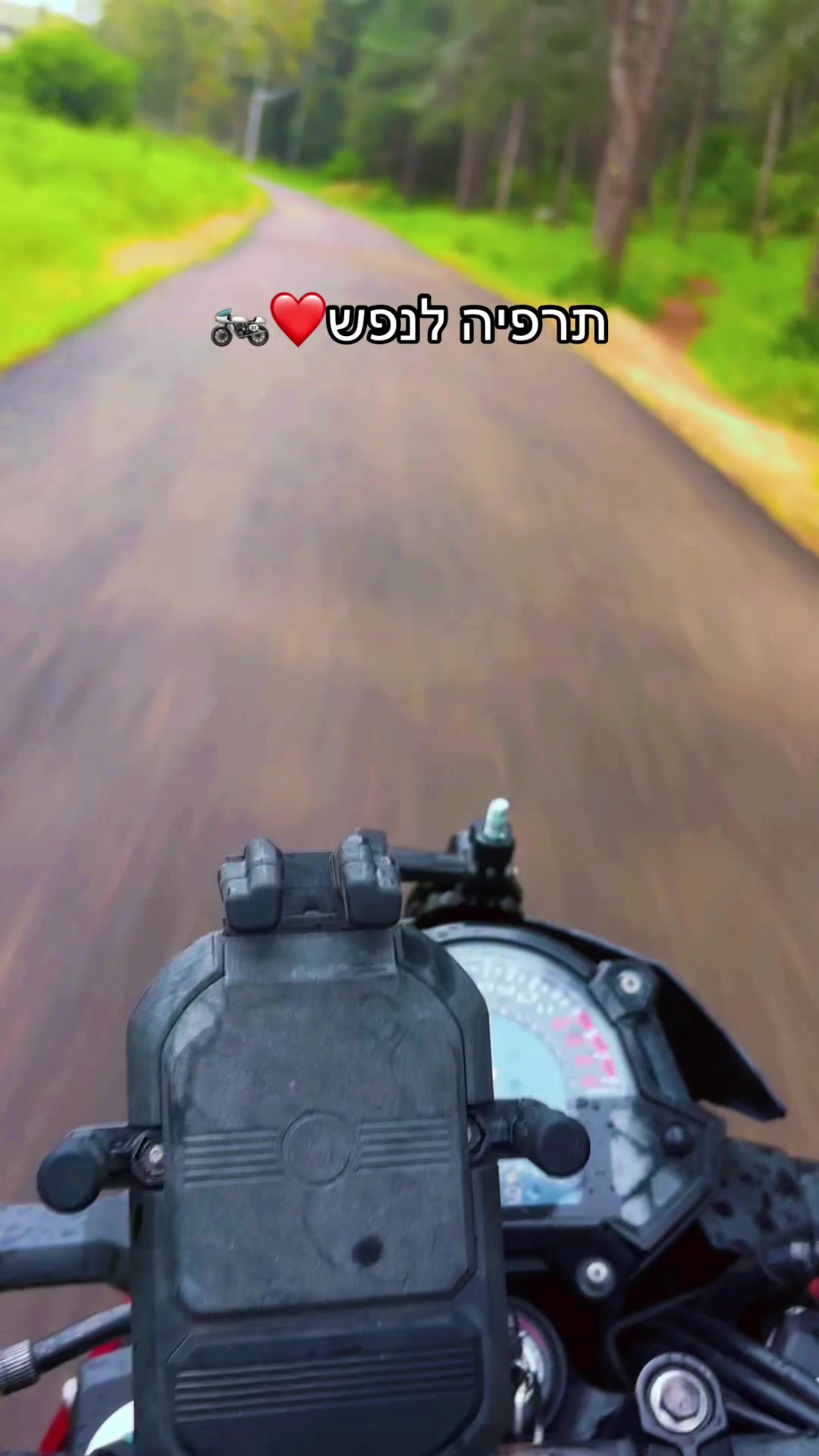 @🛵QueeN🏍️