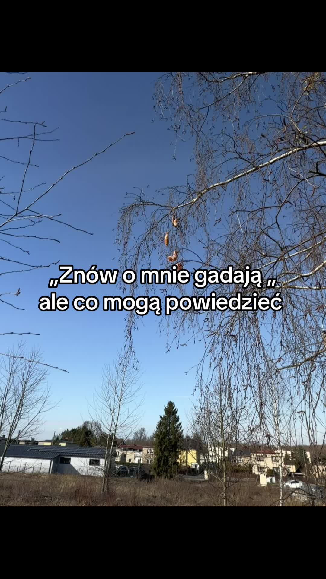 @🎧🦜