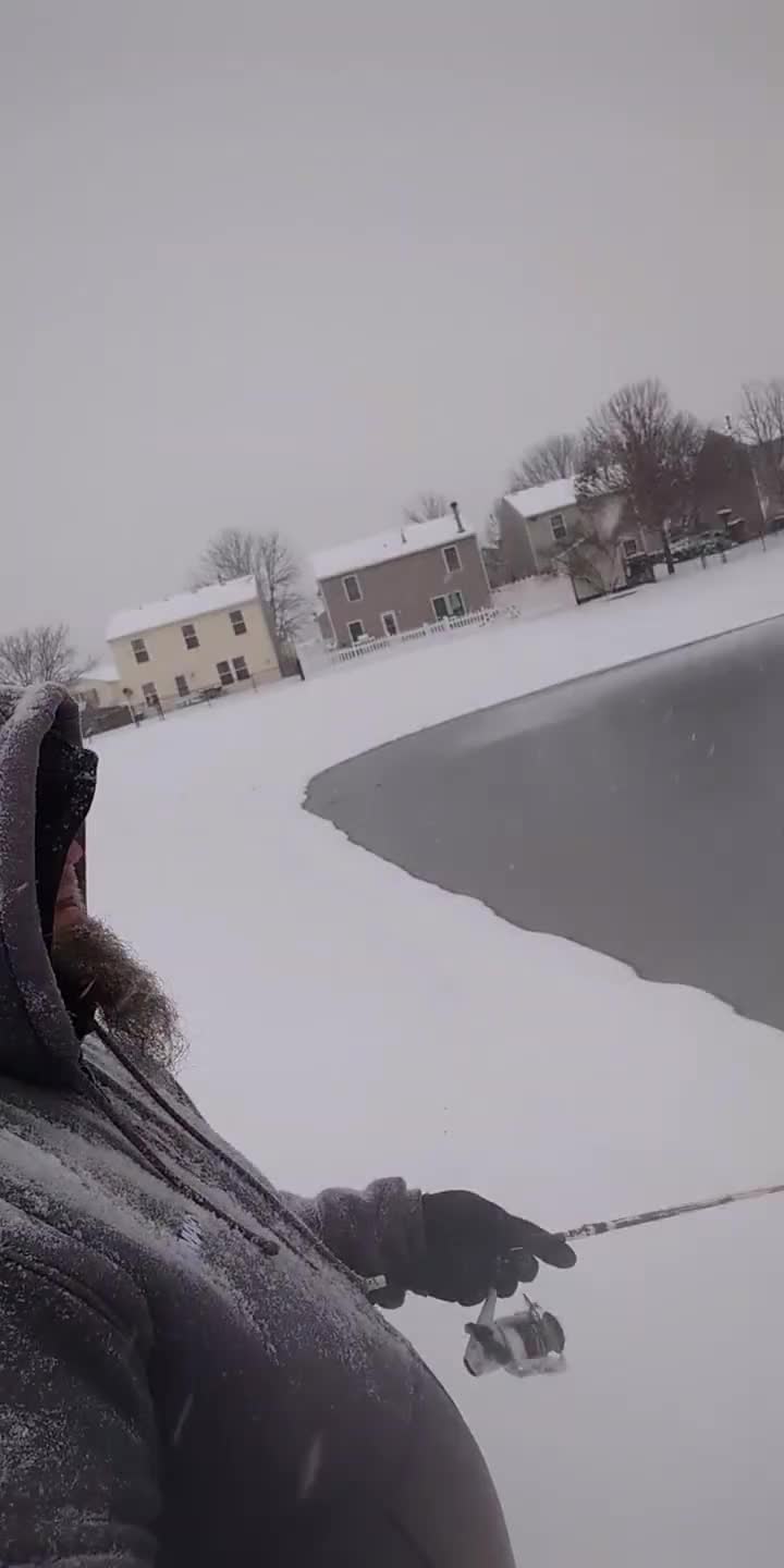 @Fishing with Metal