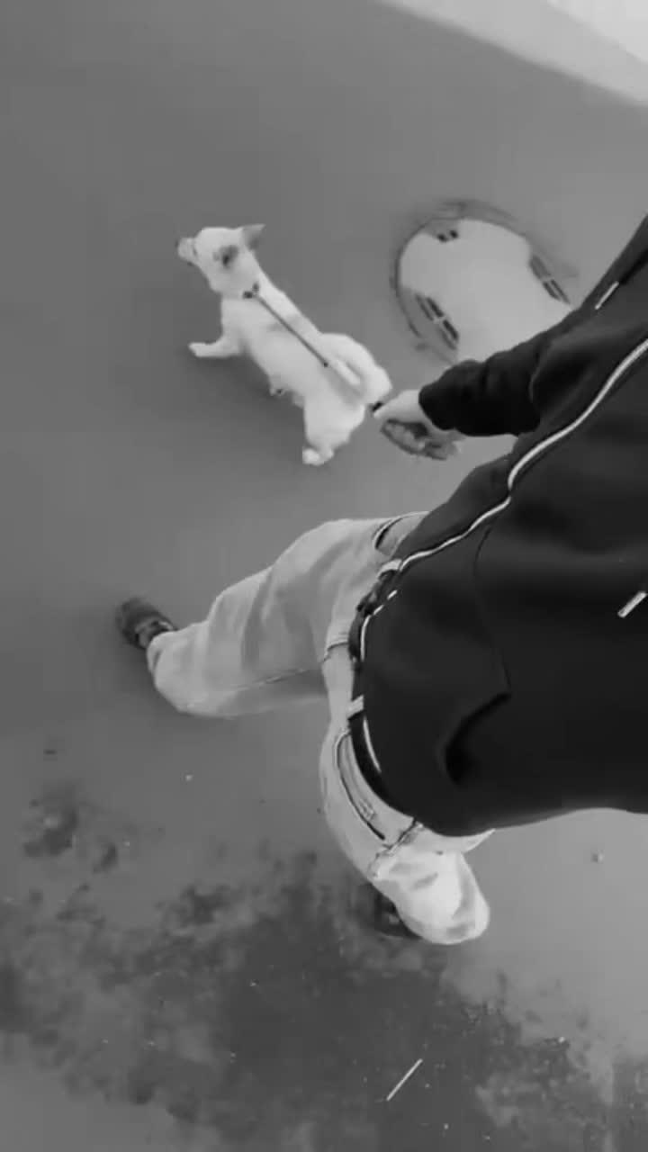@🇩🇪🦅