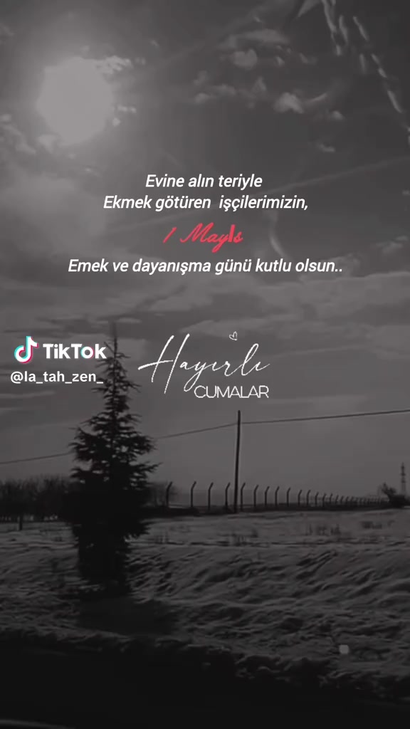 @Dünyaemlak46