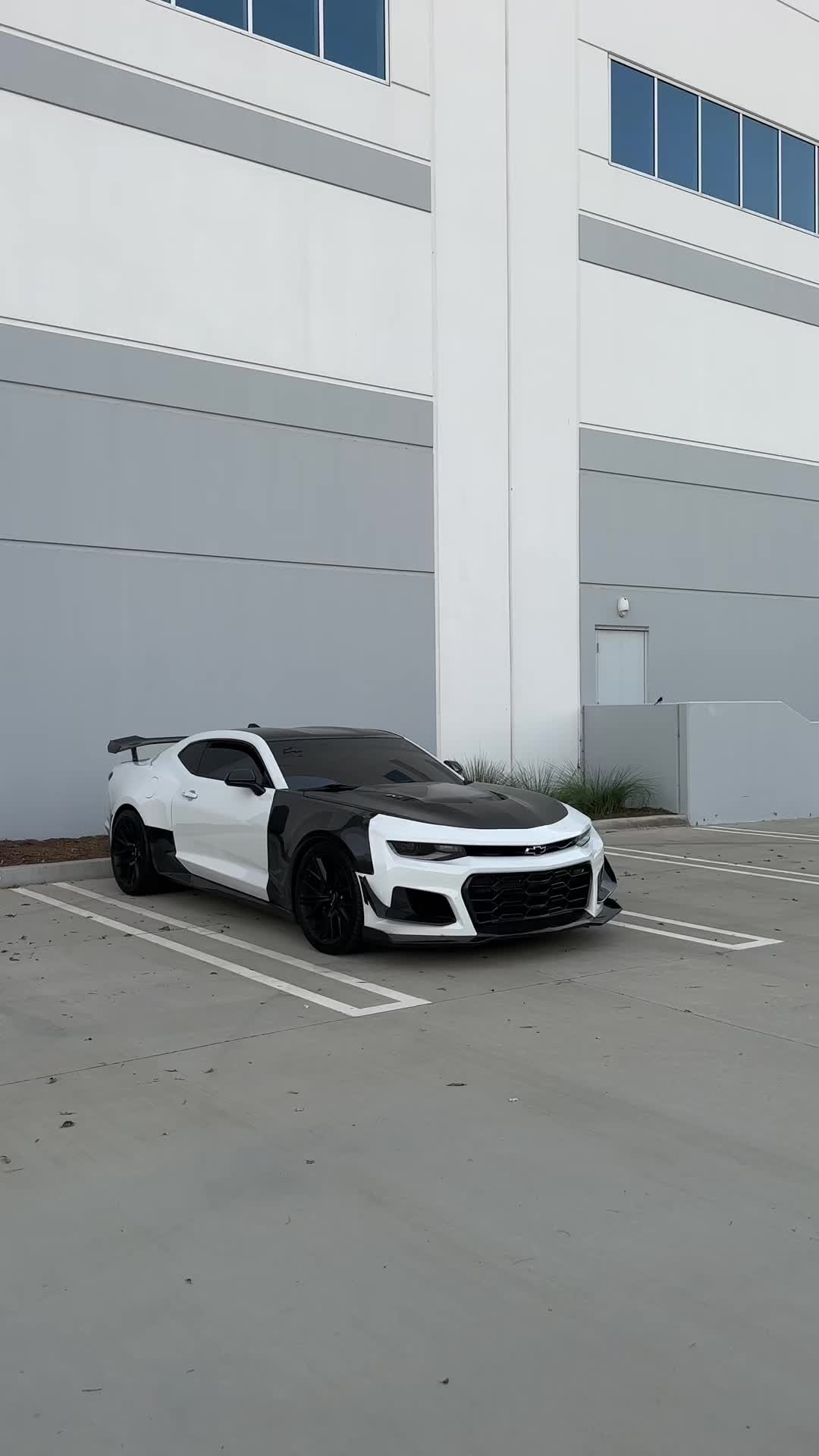 @SHHHZL1