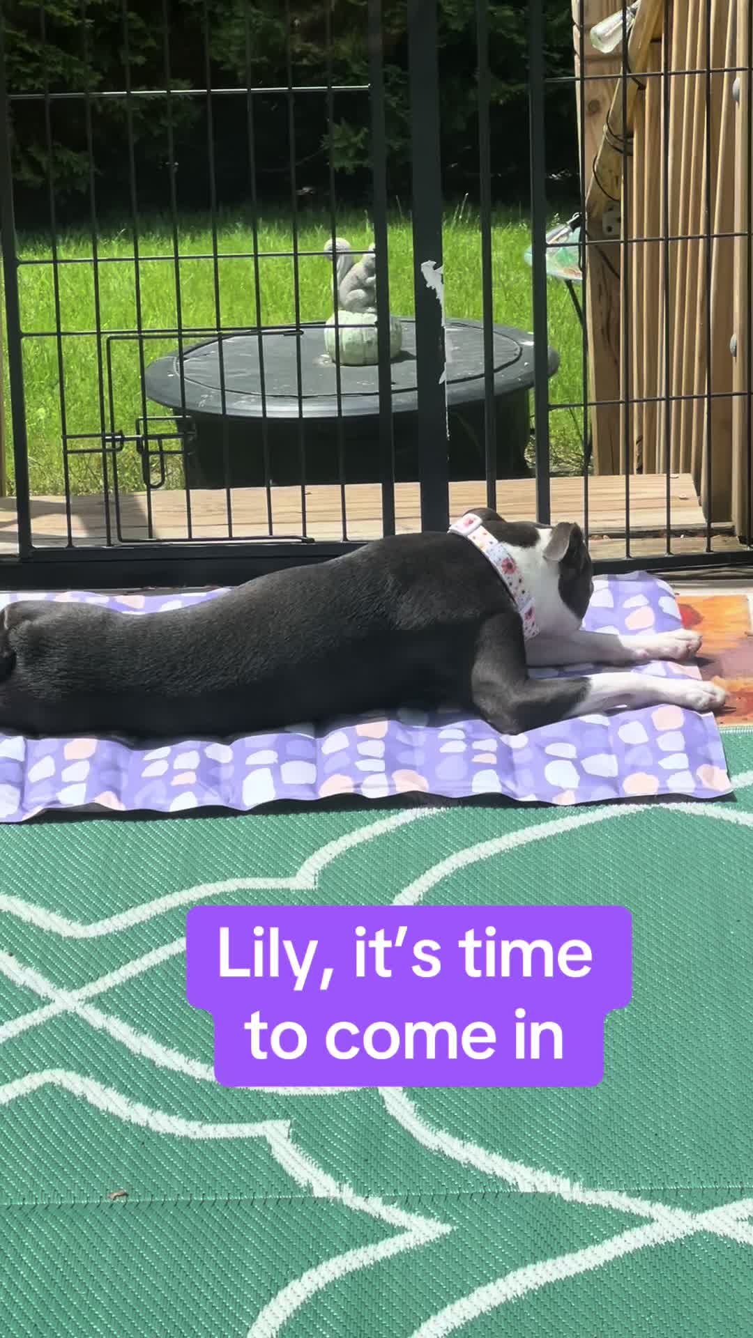@Lily Grace &Loganbowties