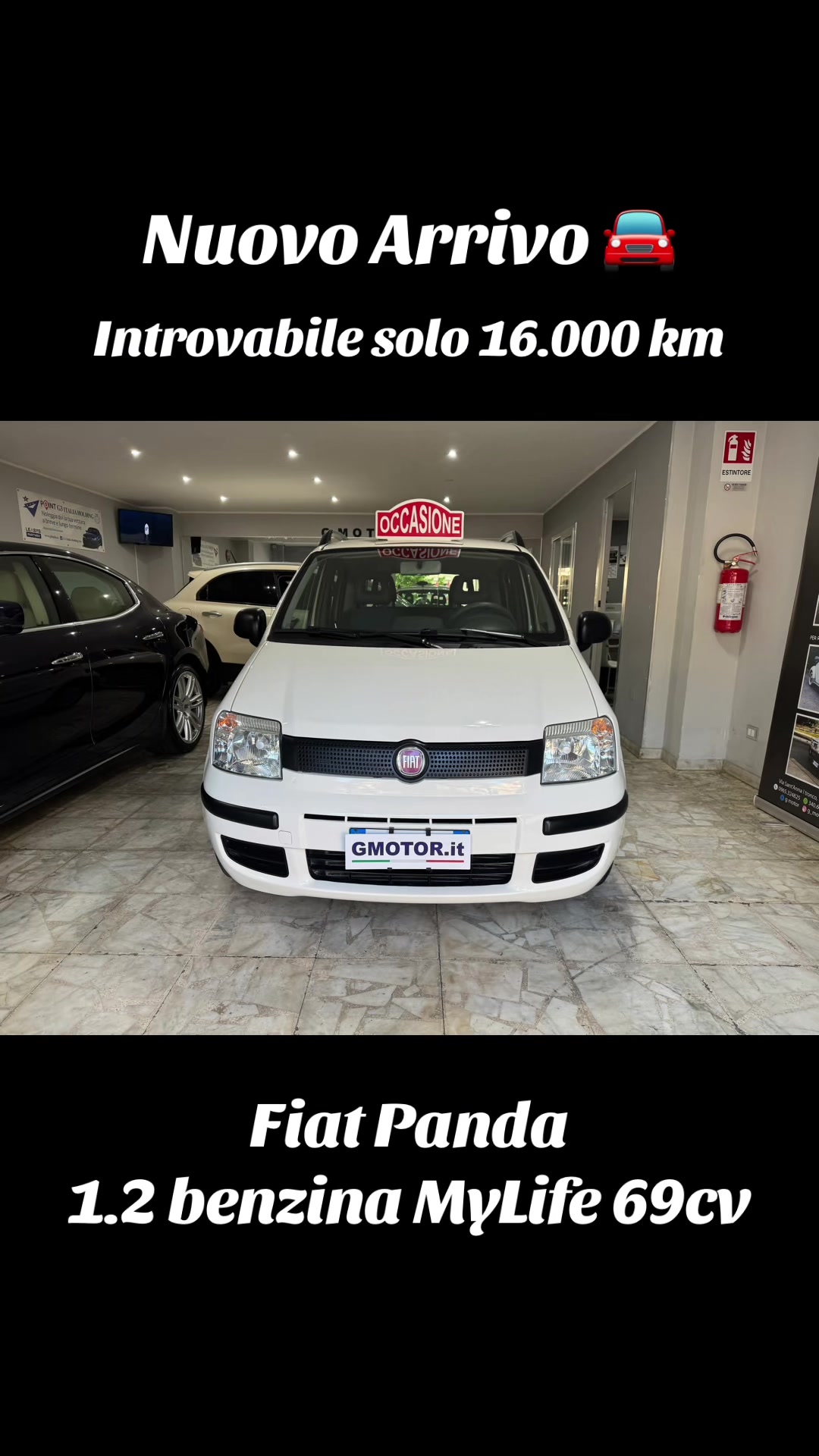 @gmotorsrls