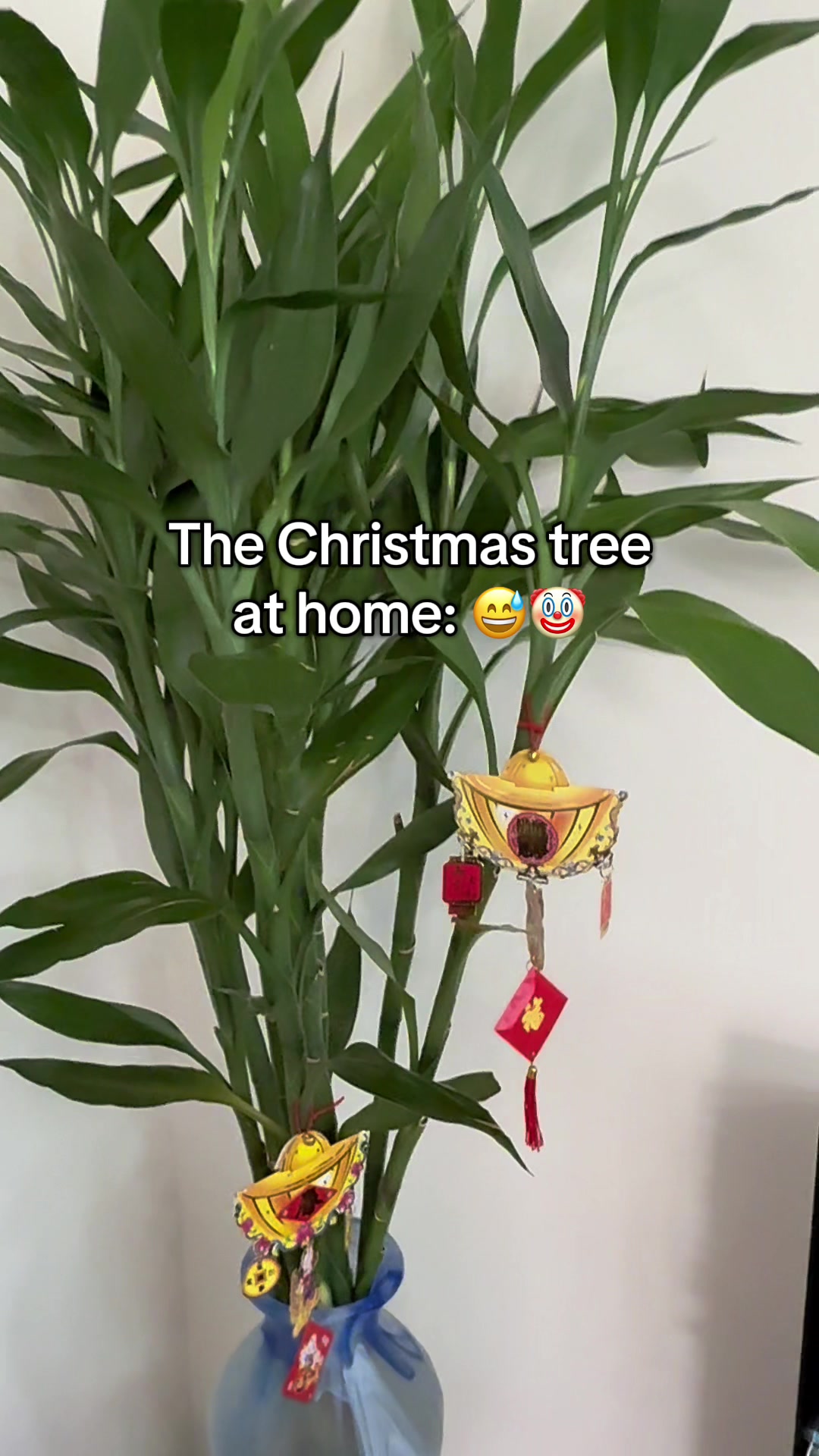 @teochewfam